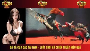 Đá Gà Cựa Dao Tại IWIN – Luật Chơi Và Chiến Thuật Hiệu Quả