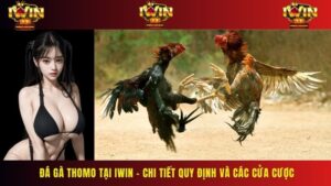 Đá Gà Thomo Tại IWIN – Chi Tiết Quy Định Và Các Cửa Cược